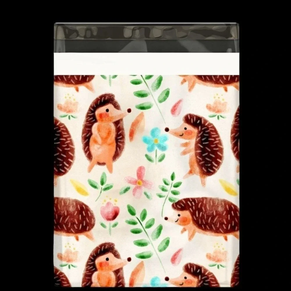 20 Mystery Curated Poly Mailers 10